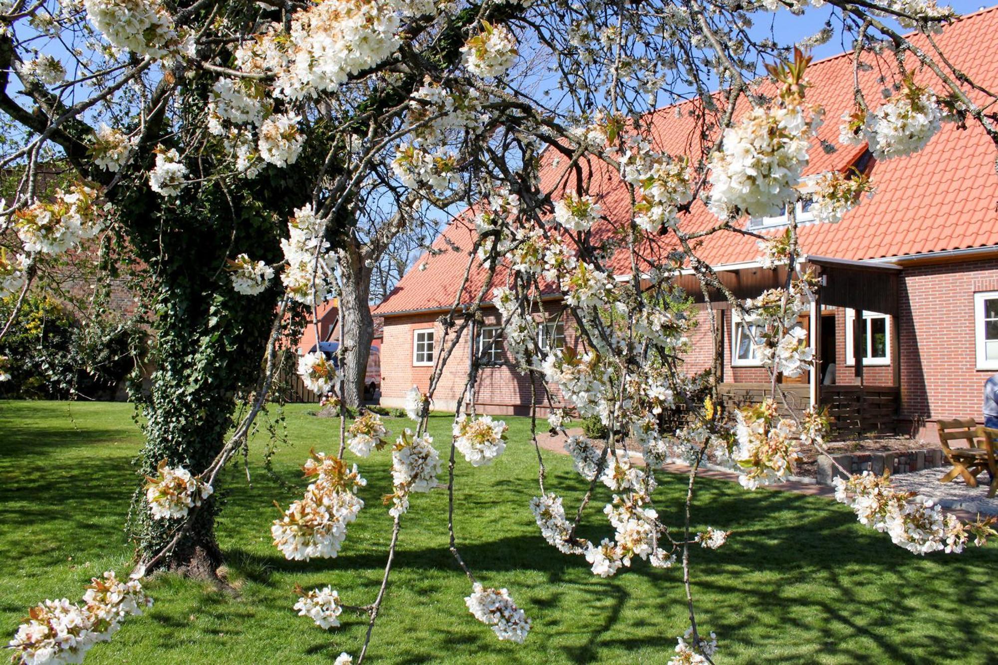 Ferienwohnung Gartenblick - A19374 Suderburg Exterior foto